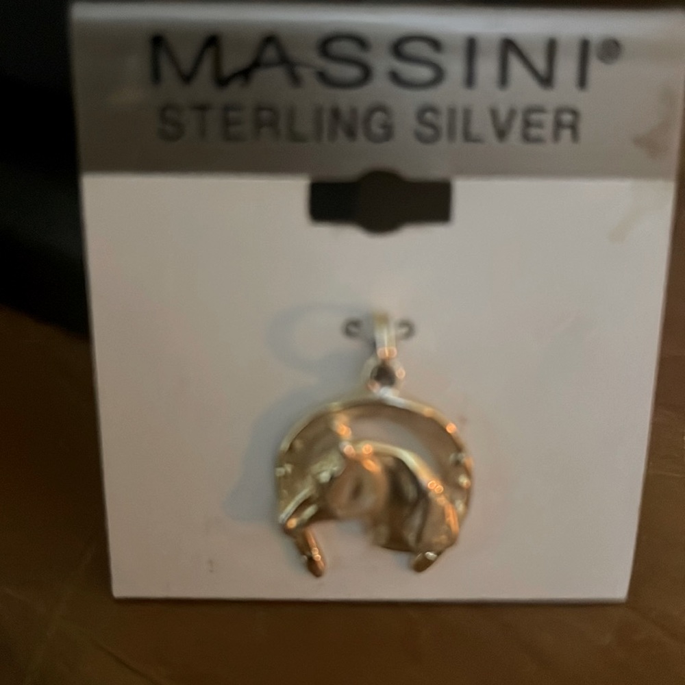 Horse shoe silver charm
